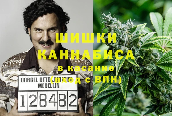 гидропоника Абаза