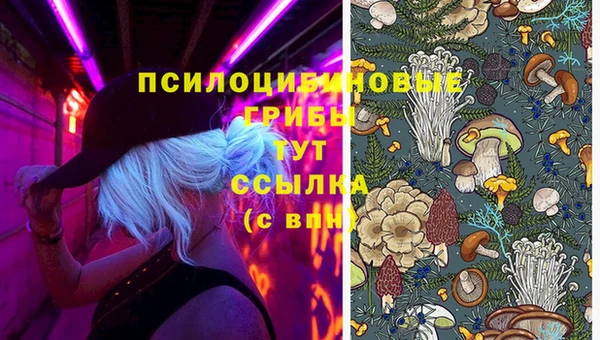 прущий лед Ладушкин
