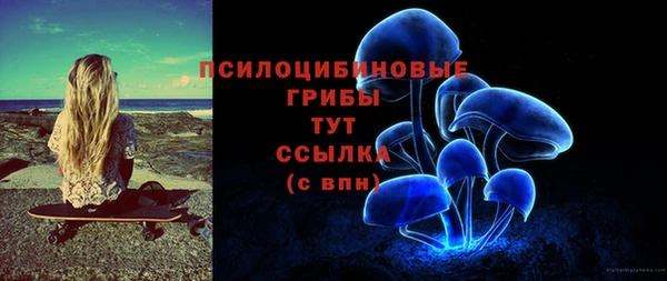 гидропоника Абаза