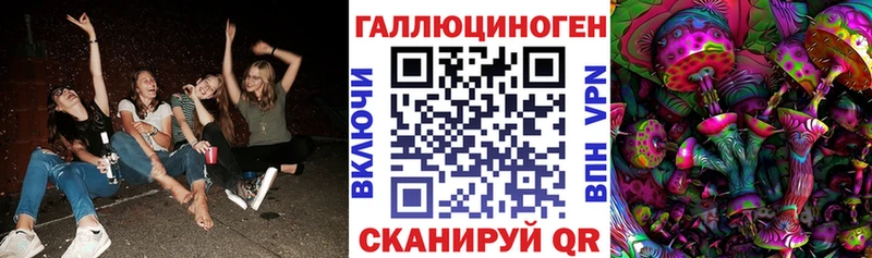 маркетплейс телеграм  Александровск  Псилоцибиновые грибы мицелий 